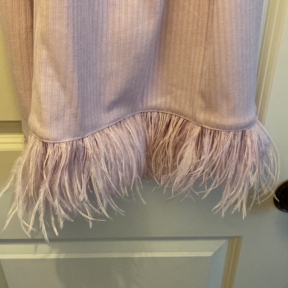 NWT Saylor Ainsley Feather Trim Mini Dress - Picture 2 of 5